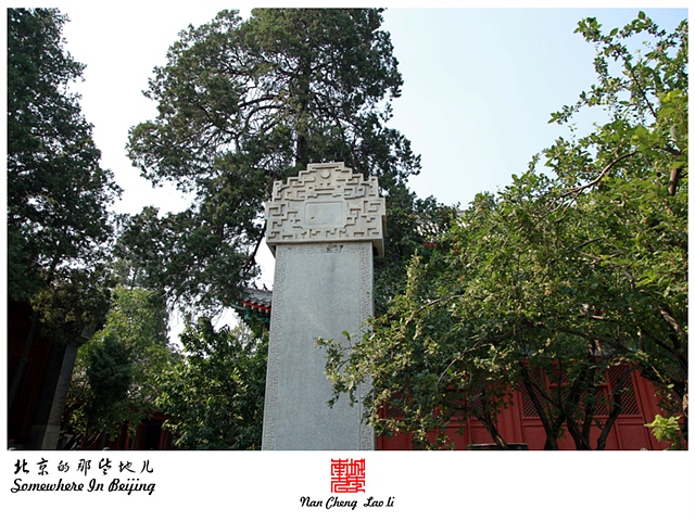 查看更多精彩图片