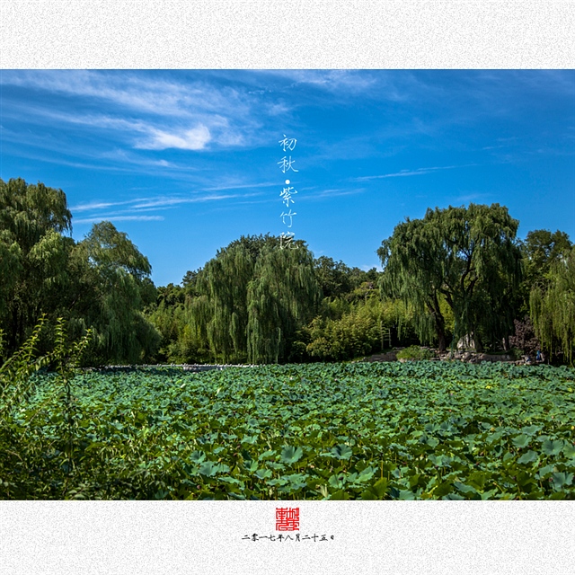 查看更多精彩图片