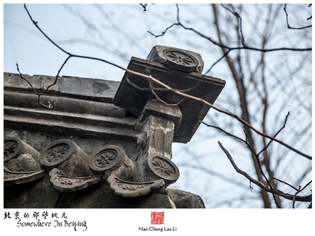 查看更多精彩图片
