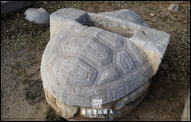 查看更多精彩图片