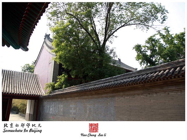 查看更多精彩图片
