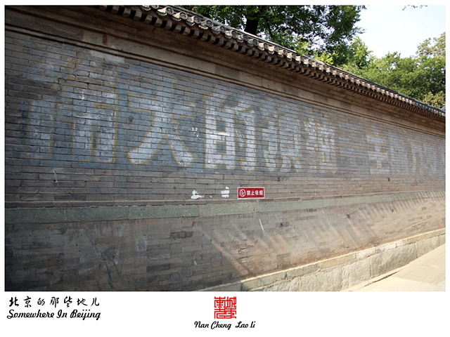 查看更多精彩图片