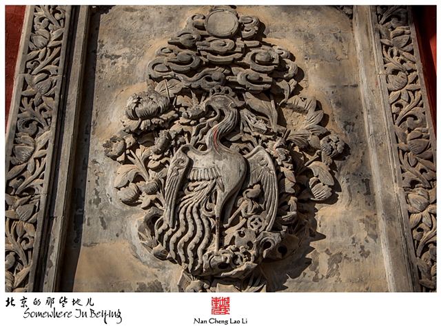 查看更多精彩图片