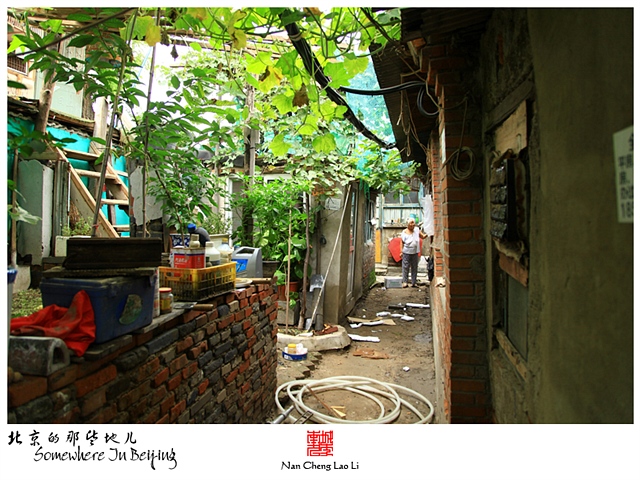查看更多精彩图片