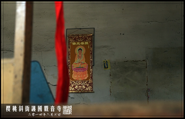 查看更多精彩图片