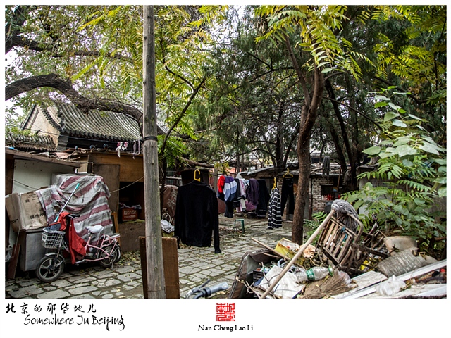 查看更多精彩图片