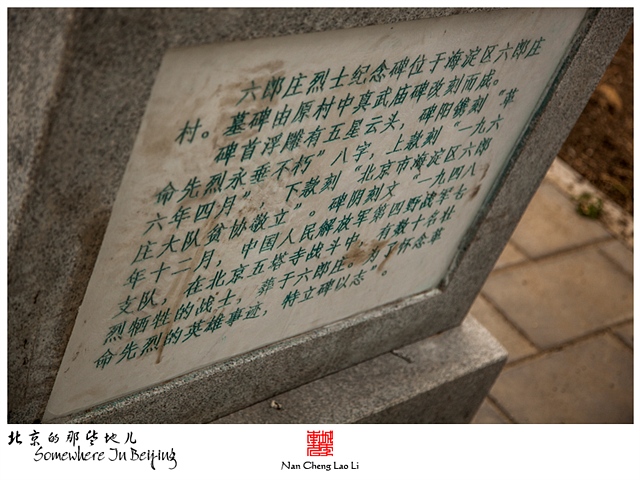 查看更多精彩图片