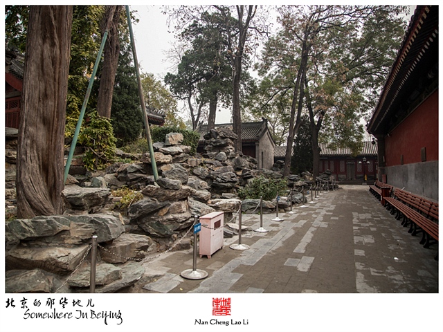 查看更多精彩图片