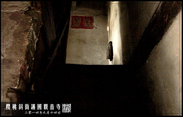 查看更多精彩图片