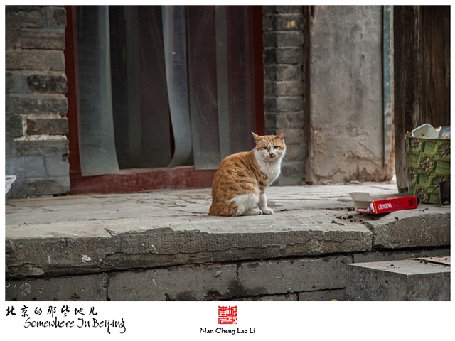 查看更多精彩图片