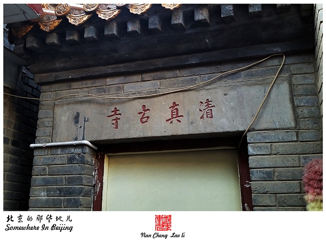 查看更多精彩图片