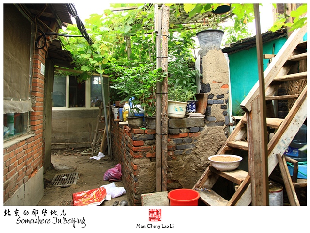 查看更多精彩图片