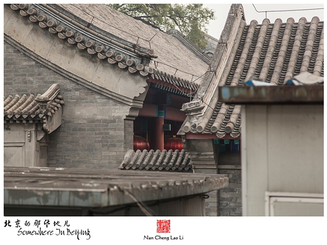 查看更多精彩图片