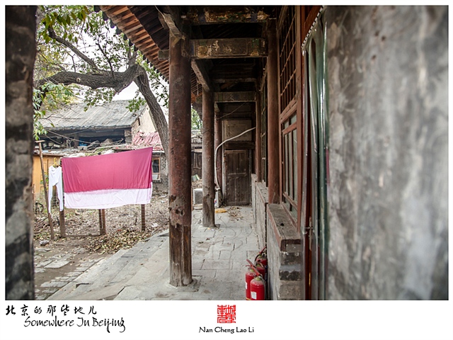 查看更多精彩图片