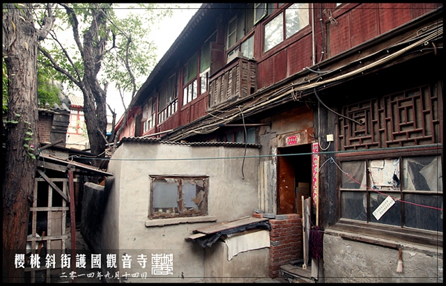 查看更多精彩图片