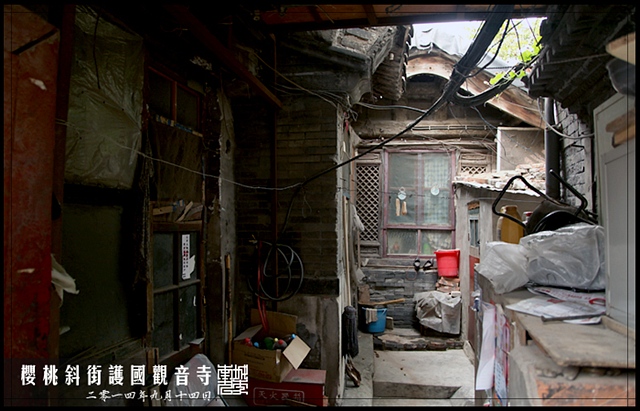 查看更多精彩图片