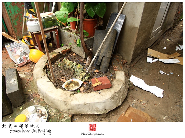 查看更多精彩图片