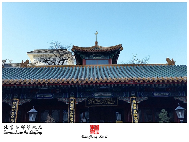查看更多精彩图片