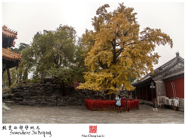查看更多精彩图片