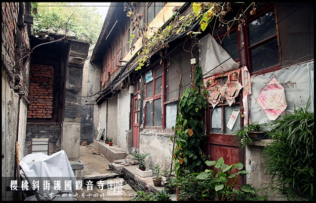 查看更多精彩图片