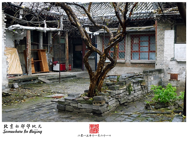 查看更多精彩图片