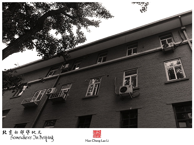 查看更多精彩图片