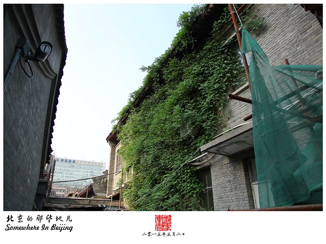 查看更多精彩图片