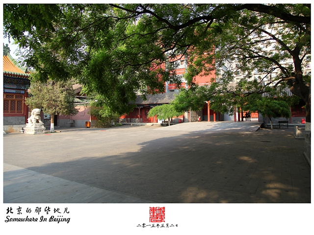 查看更多精彩图片