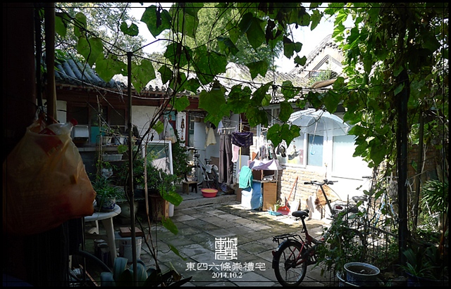查看更多精彩图片