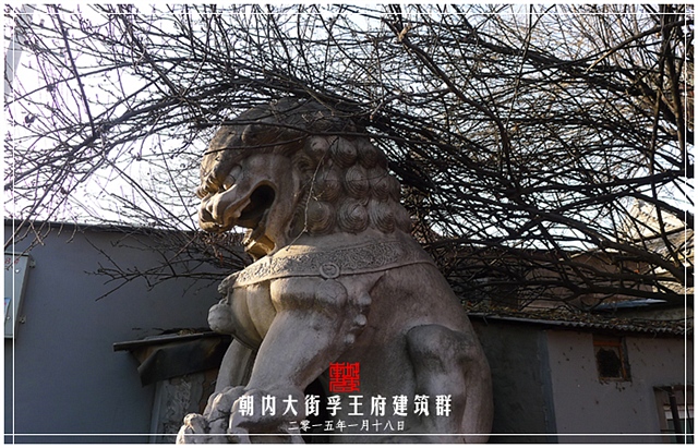 查看更多精彩图片