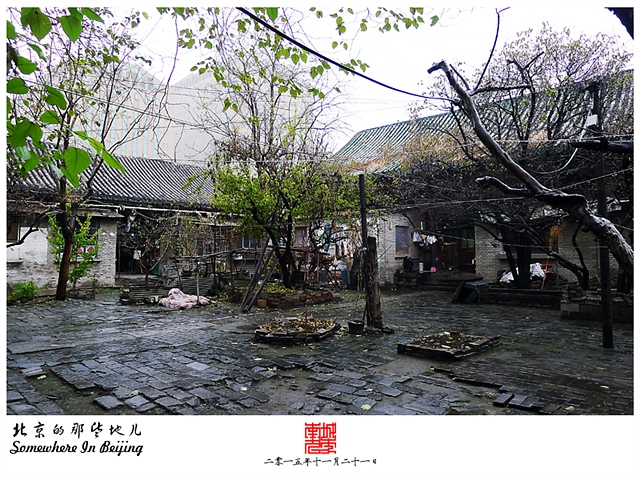 查看更多精彩图片