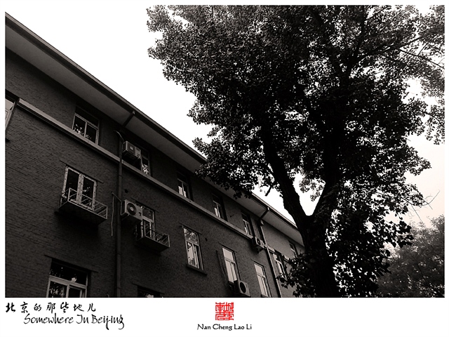 查看更多精彩图片