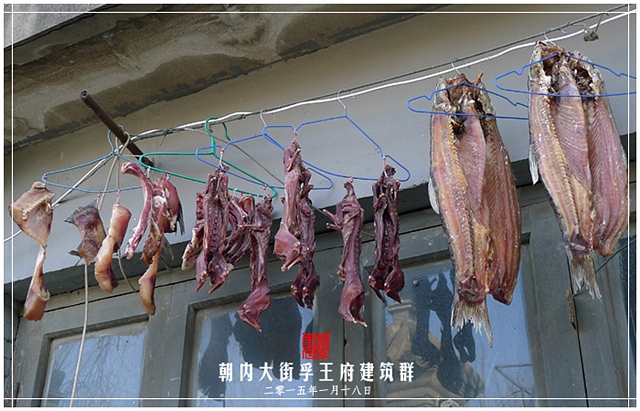 查看更多精彩图片