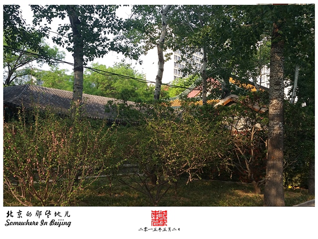 查看更多精彩图片