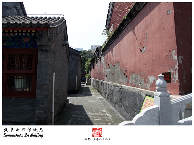 查看更多精彩图片