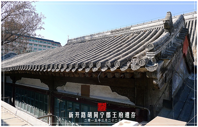查看更多精彩图片