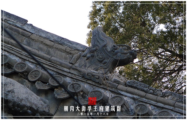 查看更多精彩图片