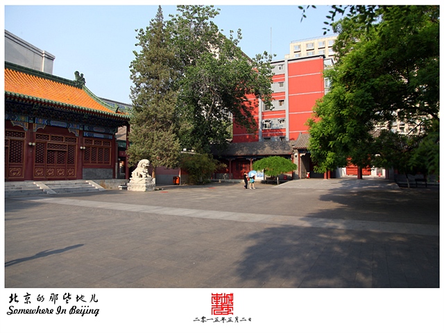 查看更多精彩图片