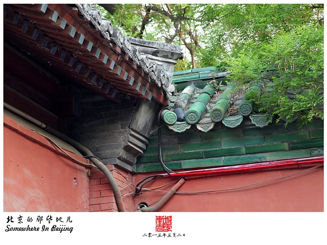 查看更多精彩图片