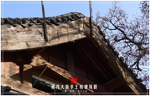 查看更多精彩图片