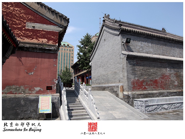 查看更多精彩图片