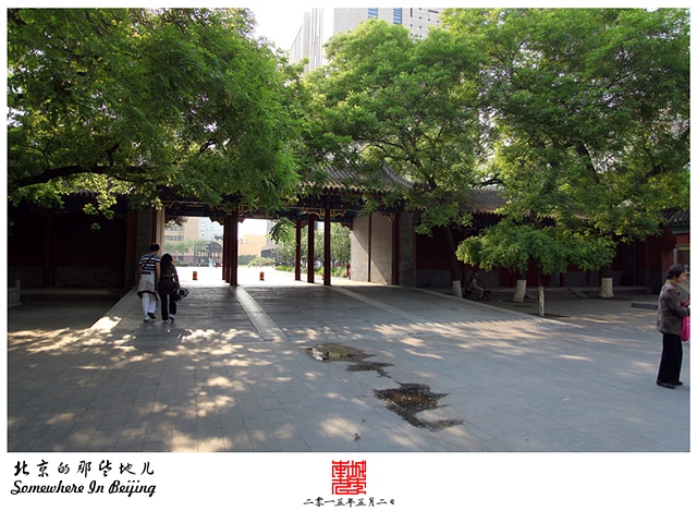 查看更多精彩图片