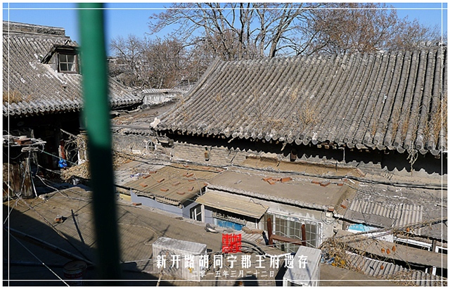 查看更多精彩图片