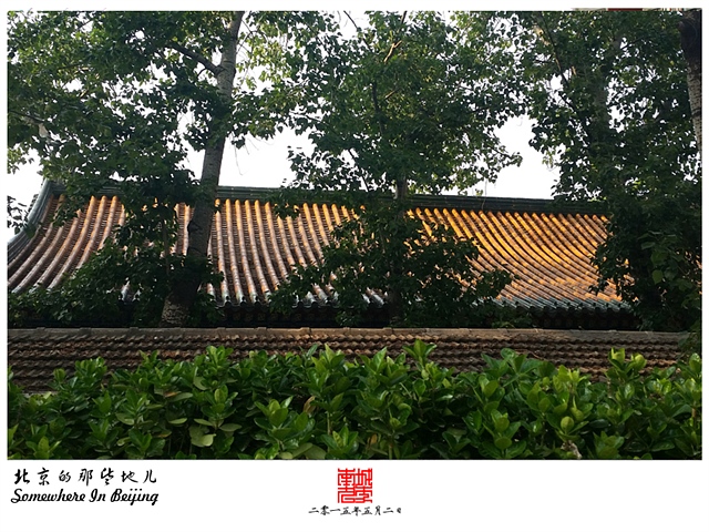 查看更多精彩图片