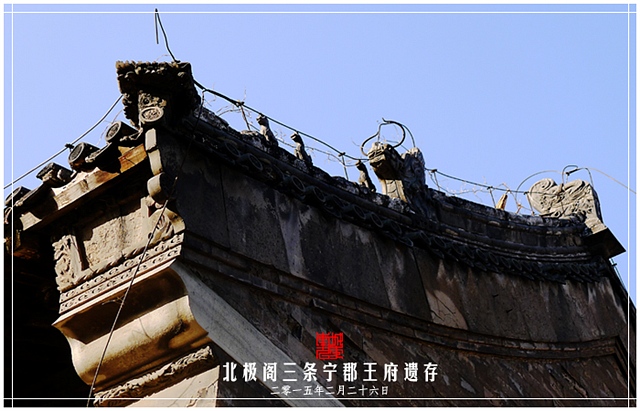 查看更多精彩图片