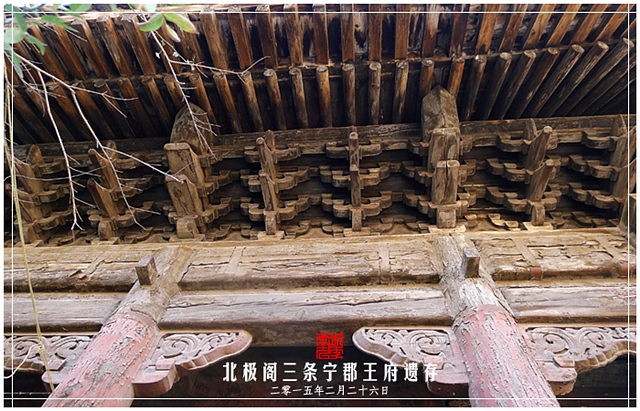 查看更多精彩图片