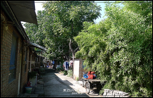 查看更多精彩图片