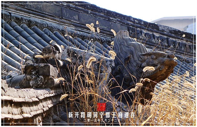 查看更多精彩图片