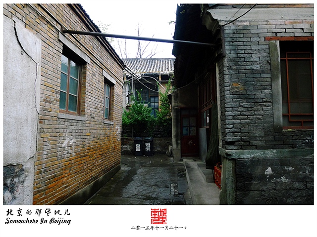 查看更多精彩图片