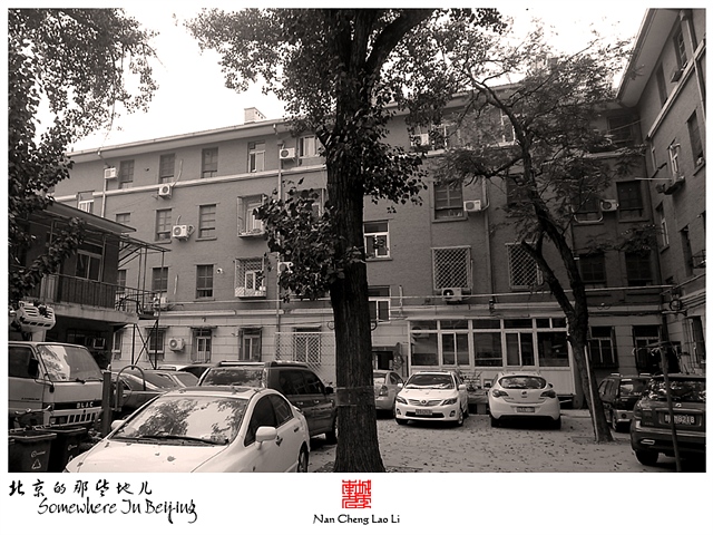 查看更多精彩图片